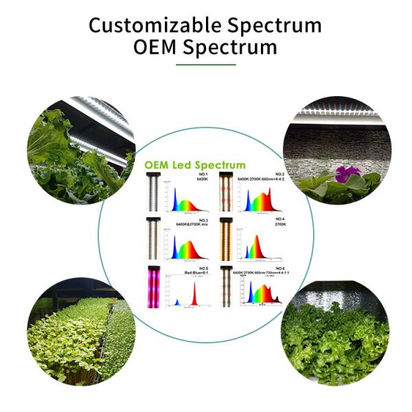 Full Spectrum Epistar Seed Starting 3FT Led Grow Light With Built In Timer 12/16/18hrs
