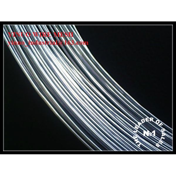 Galvanized Wire (Electro or Hot Dipped Galvanized) with High Quality and Competitive Price