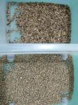 2 T/H Coffee Bean Color Sorter With Intelligent Image Processing System