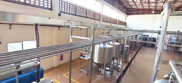 High Efficiency Mango Juice Processing Machine With Safety Protection Processing