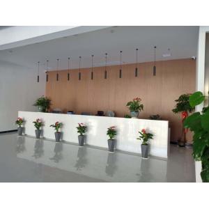 chongqing pharmaceutical (hunan) pharmaceutical Co., Ltd