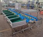 apple grading machine, potato sorting machine, fruit weighing sorting machine