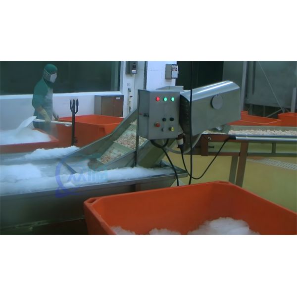3P Catfish Shrimp Processing Machine Wear Resistant Multiscene