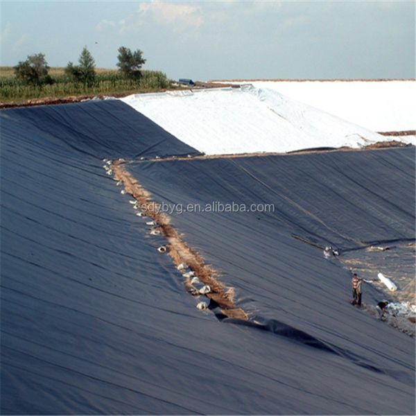1m-8m Width HDPE Geomembrane for Shrimp Liner Waterproof Projects Strong and Durable
